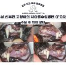 금호동물병원 이미지