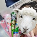놀러와아이스크림할인점