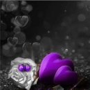 내인생의 봄날 이미지