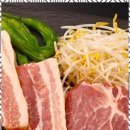 진돈 이미지