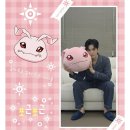 한덕 | 한덕ㅣ디지몬어드벤처 코로몬 오르골 인형 펀딩 참여 후기 (친구 초대 코드: FNC812LTU7)