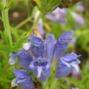 아름다운 그님 이미지