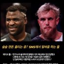 일반인 유튜버가 복싱으로 싸워 이긴 UFC 선수 목록 ㄷㄷㄷㄷㄷ 이미지