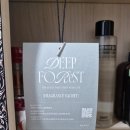 차 향기 예로 스며들다 | [차량용 방향제 추천] 칙칙한 내 차에 향기로운 명품을! 아마롬 시더머스크 찐 후기 (1+1 혜택은 덤!)