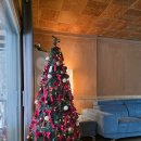 펜션21 | 양구펜션 포레스트밸리 펜션 (단체펜션, 애견펜션, 독채펜션, 21사단펜션) 후기