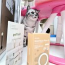 공감누리 | [고양이] 영양제와 츄르가 한번에 노묘를 위한 펫누리 영양제츄르 후기