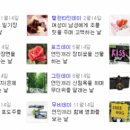 데이 이미지