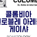 로스톨로지 이미지