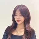 진헤어비스 - 서구 구덕로 240 | 진헤어비스
