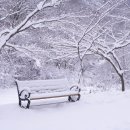 시장마트 이미지