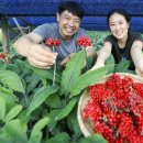 열매약국 이미지