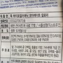 모더레이트(MODERATE)