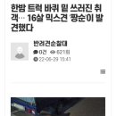 서울 반려견 순찰대 해치 펫트롤 모집중 이미지