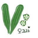 오크라 이미지