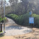 트리컴퍼니