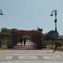 둔산대로 티스토리