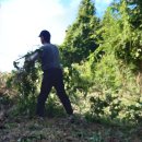 사천고등학교 이미지