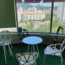 라임 P.T 이미지