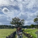 인우목장 이미지