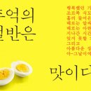 들빛 이미지