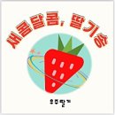 우주딸기 이미지