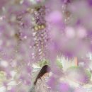 합도초교 이미지