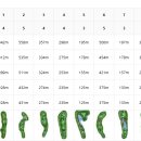 TOP스크린골프존 이미지