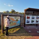 순천만여행 | 순천만 흑두루미 탐조여행 후기, 겨울 철새와 노을 풍경