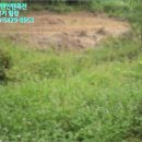 무주읍130 이미지