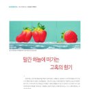 2021-주172 이미지