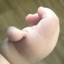 다온정보 이미지