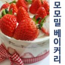 모모밀베이커리 이미지