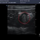 돌봄동물메디컬클리닉 이미지