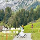 스위스 꼭 해야 하는 피르스트 액티비티 이틀 동안 즐긴 후기 (가는법 종류 가격 할인정보)