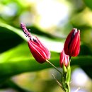 레드시크릿 이미지