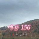 애룡156 네이버블로그