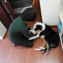 땡칠아놀자 네이버블로그
