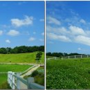 덕양목장1 이미지