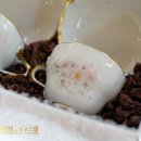 포슬린페인팅아트스쿨 네이버블로그