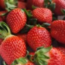 건지농장 이미지