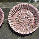 서후초교 이미지