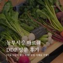 미트팜 - 청주시 서원구 | 농부시장 마르쉐 DDP 주말 나들이 후기 로컬 제철 식재료와 먹거리 위치 방문 꿀팁 총정리