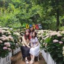 제주스마일택시관광 이미지