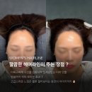 헤어팡팡 & 가발