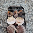 강화고인돌 캠핑장 이미지