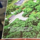 다음세대 태권도 | 4월 봄축제 해남 산이정원 ESG페스티벌 봄나들이 전남여행 가볼만한곳