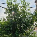 샘 사우나 이미지