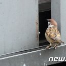구두방 - 창원시 진해구 벚꽃로60번길 9-2 | 구두방