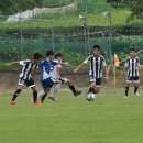 청풍공설운동장 공설운동장 이미지