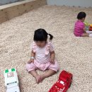 쥬쥬랜드 이미지